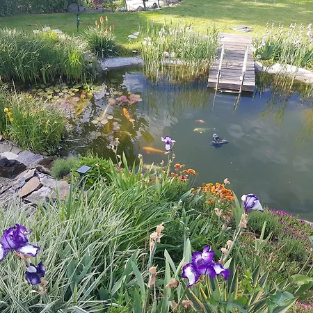 Wohlfuehlen Am Gartenteich Oberzissen Exterior foto